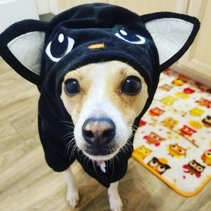 Halloween Cat Pup Costume